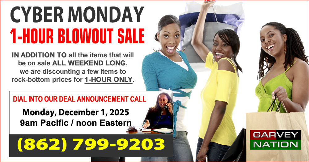 Cyber Monday 1-Hour Blowout Sale Conference Call