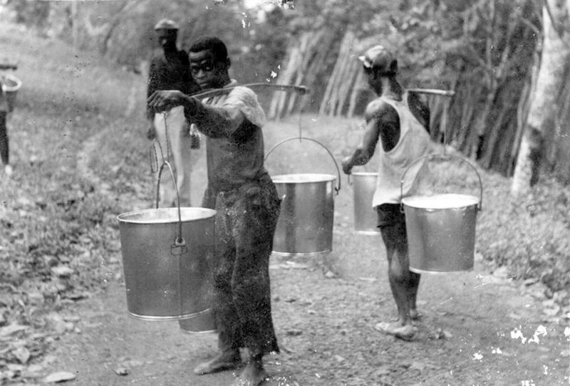 Workers carry buckets of latex at a Firestone plantation near Cavalla River, Liberia