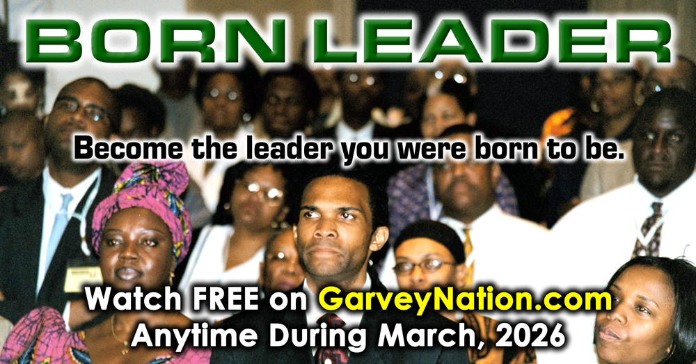 FREE PASS: Born Leader - How To Be The Leader You Were Born To Be