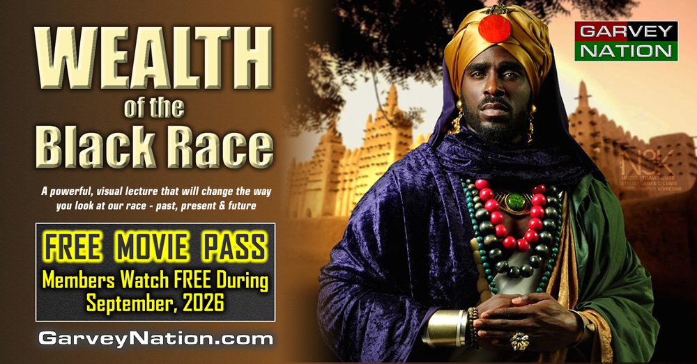 FREE PASS: WEALTH of the Black Race