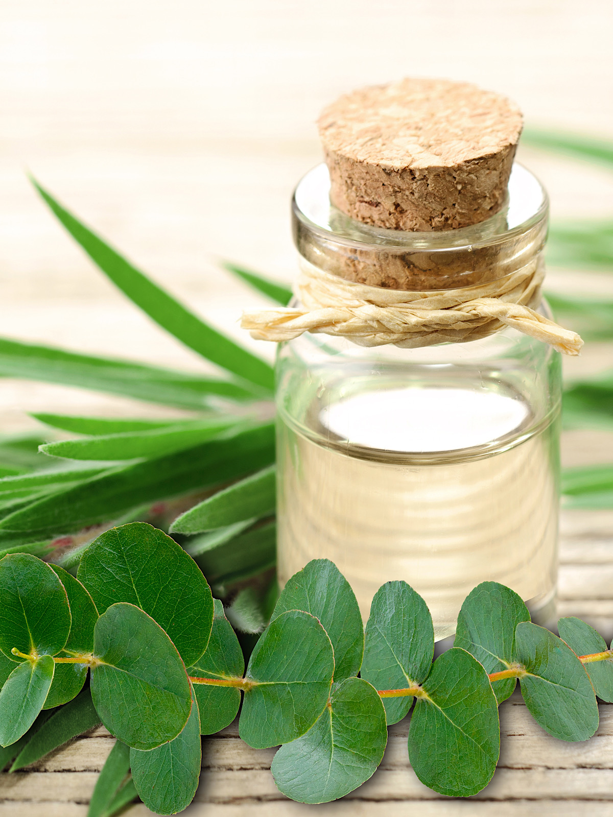 Eucalyptus Oil Corked Bottle