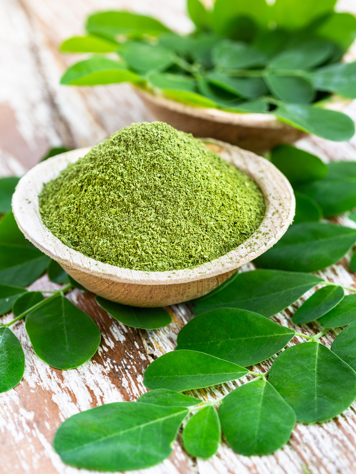 Motherland's Gold Moringa Leaf Powder In Cup & Leaves