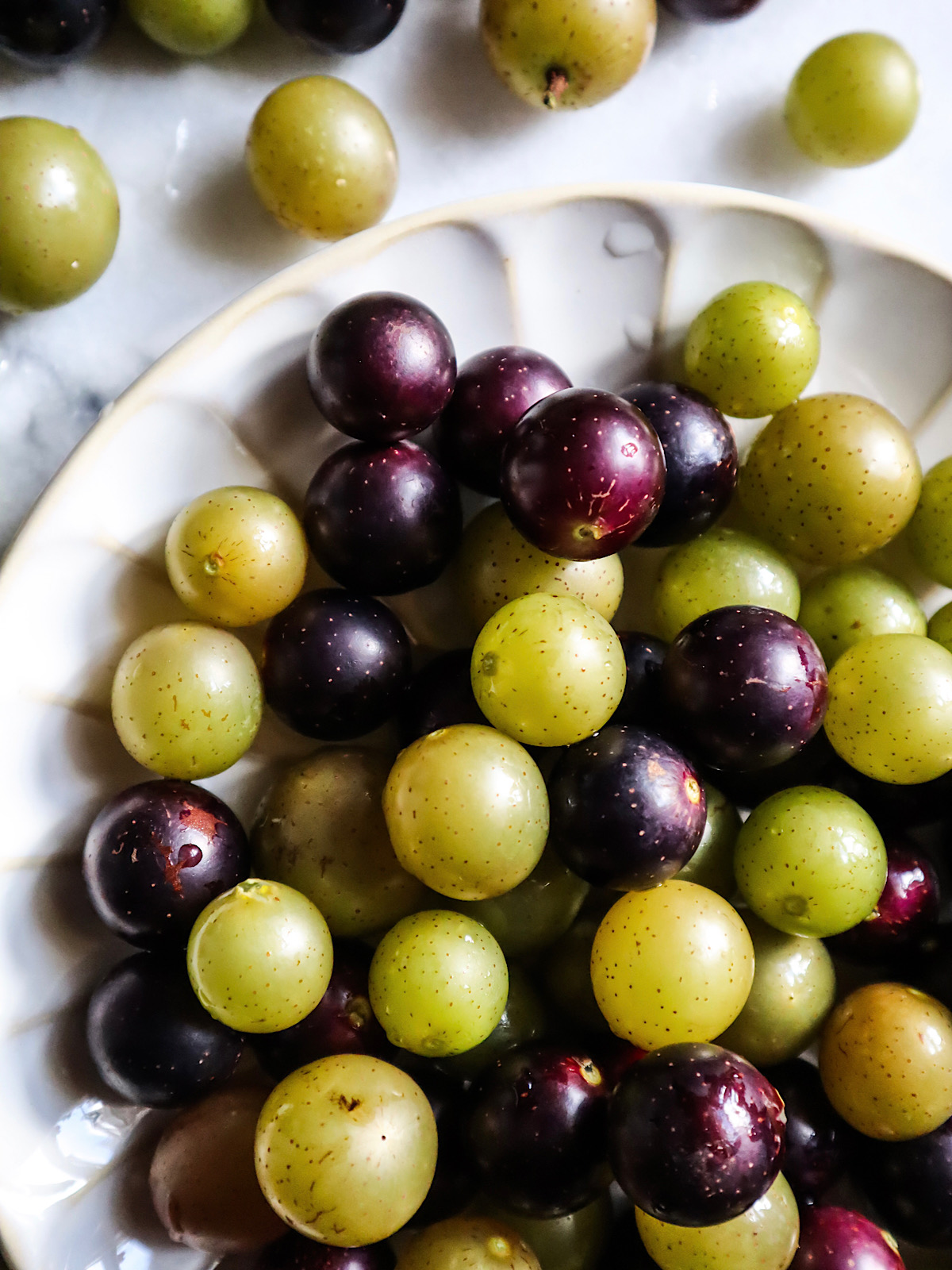 Muscadine Grapes