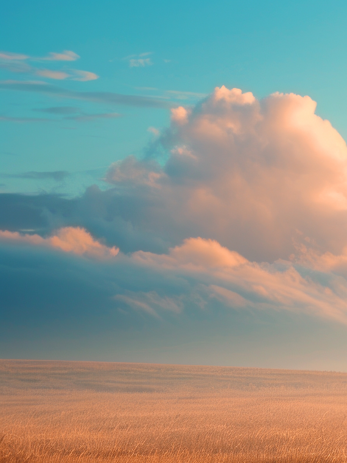 Savanna sky